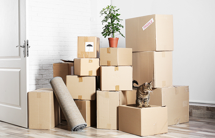 Moving Company In London, Ontario