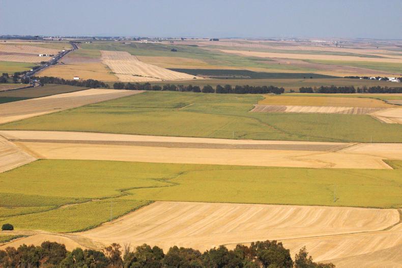 Utah Land Buyer – Land Boss